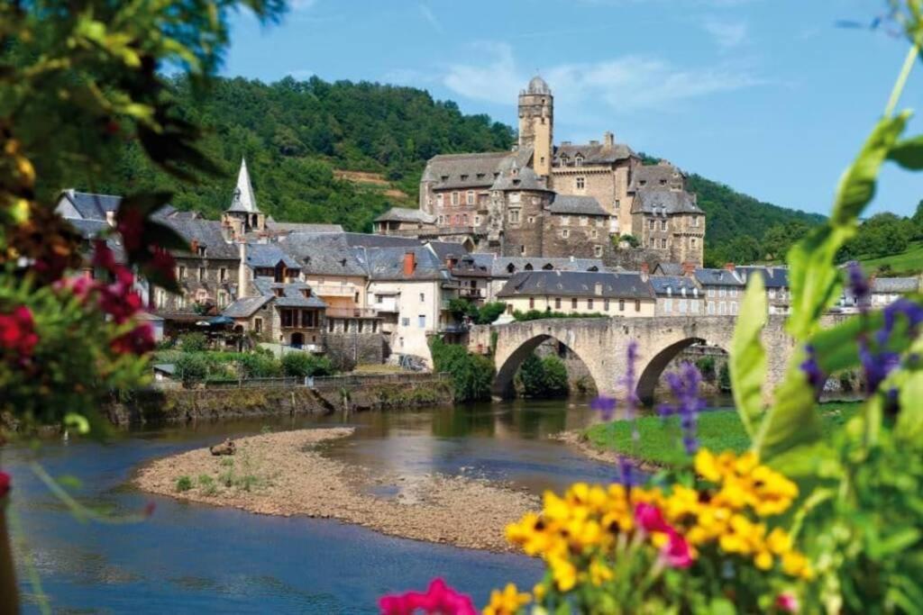 T 2 Dans Village Vacances 3 *** A Saint Geniez 2 Piscines Chauffee Pierrefiche  Bagian luar foto